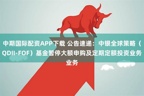中期国际配资APP下载 公告速递：中银全球策略（QDII-FOF）基金暂停大额申购及定期定额投资业务