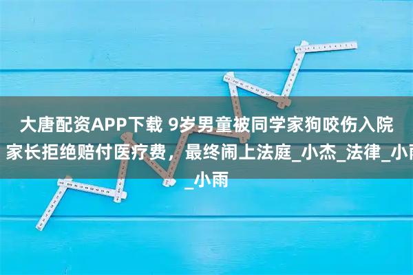 大唐配资APP下载 9岁男童被同学家狗咬伤入院，家长拒绝赔付医疗费，最终闹上法庭_小杰_法律_小雨