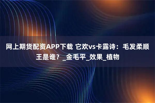 网上期货配资APP下载 它欢vs卡露诗：毛发柔顺王是谁？_金毛平_效果_植物