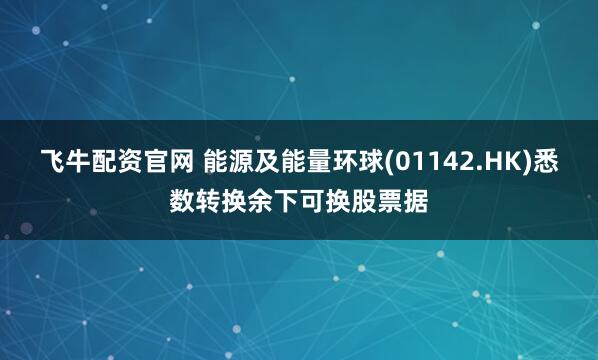 飞牛配资官网 能源及能量环球(01142.HK)悉数转换余下可换股票据